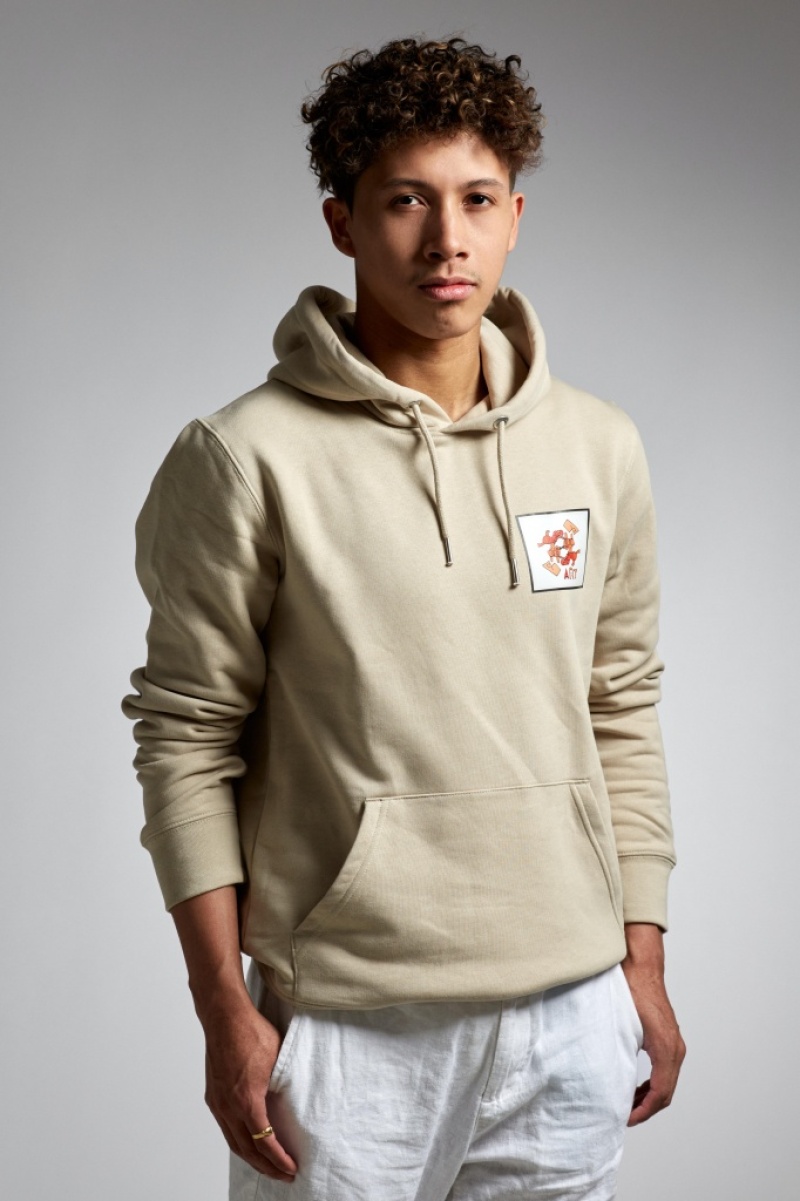 ZAZA Casting model ID: 26488