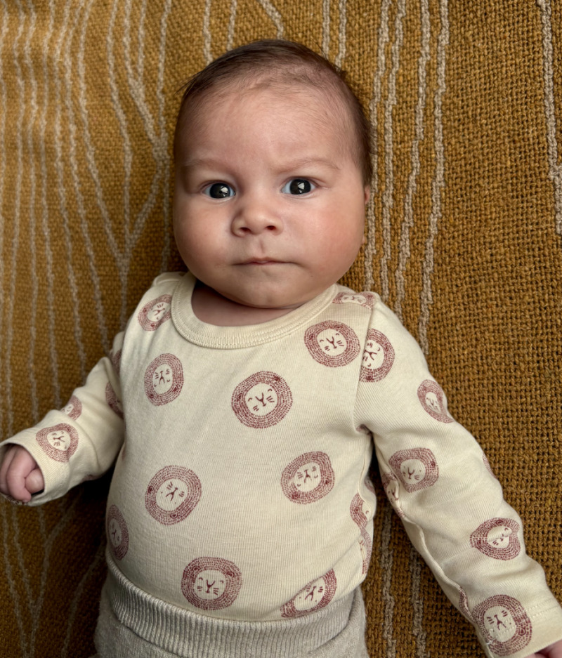 ZAZA Casting model ID: 26649