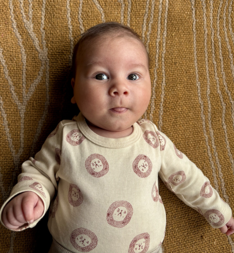 ZAZA Casting model ID: 26649