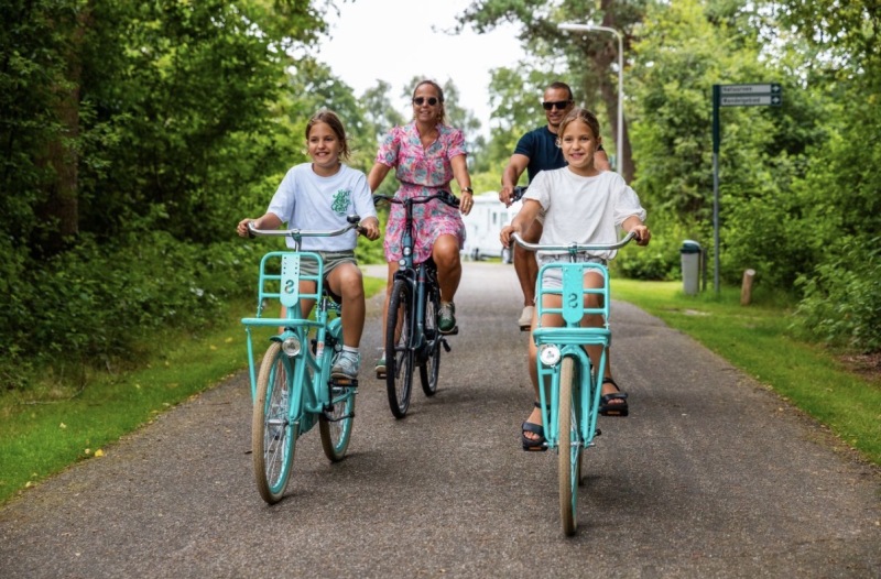 ZAZA Casting model ID: 8230