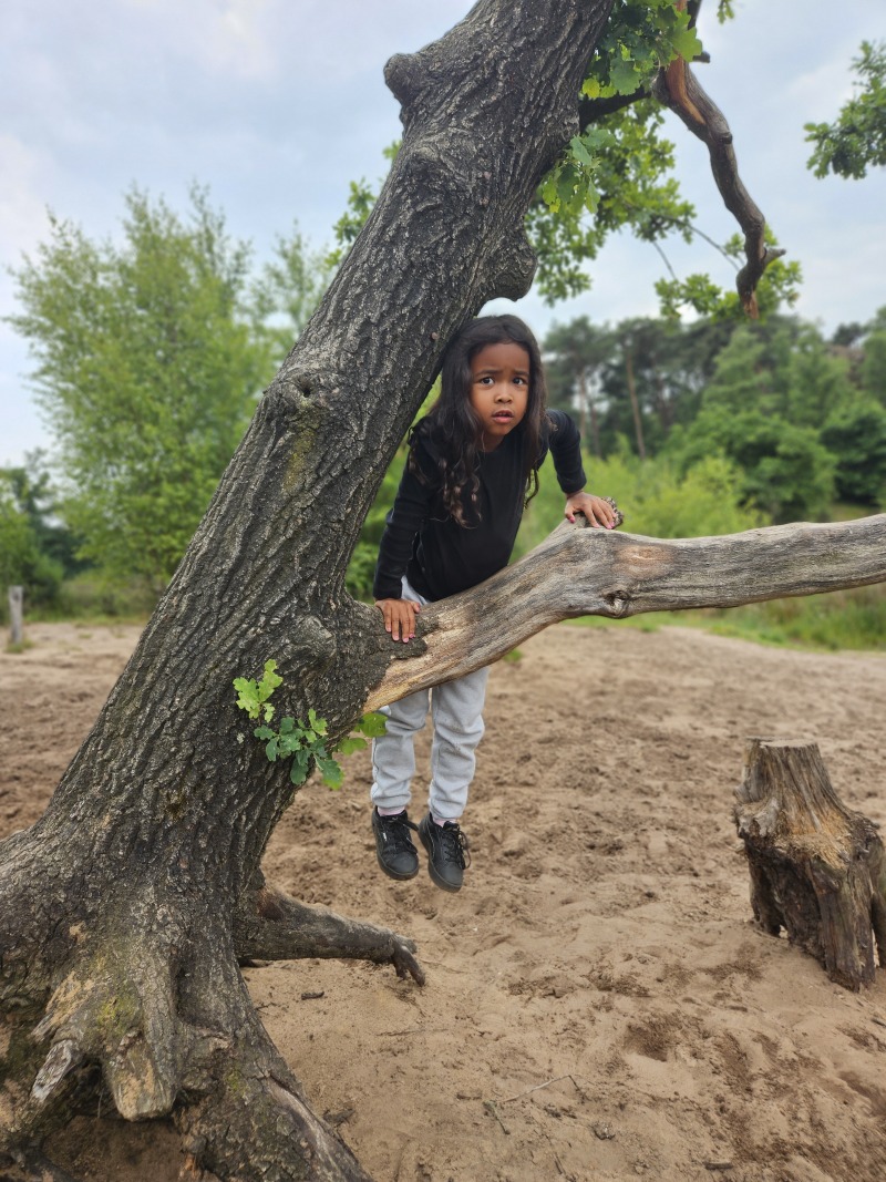 ZAZA Casting model ID: 27049