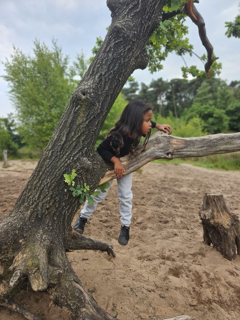 ZAZA Casting model ID: 27049