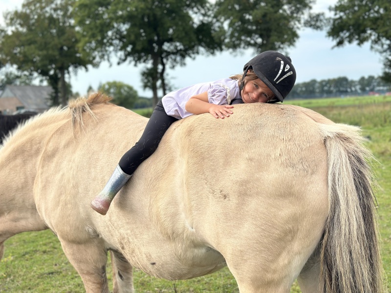 ZAZA Casting model ID: 26984