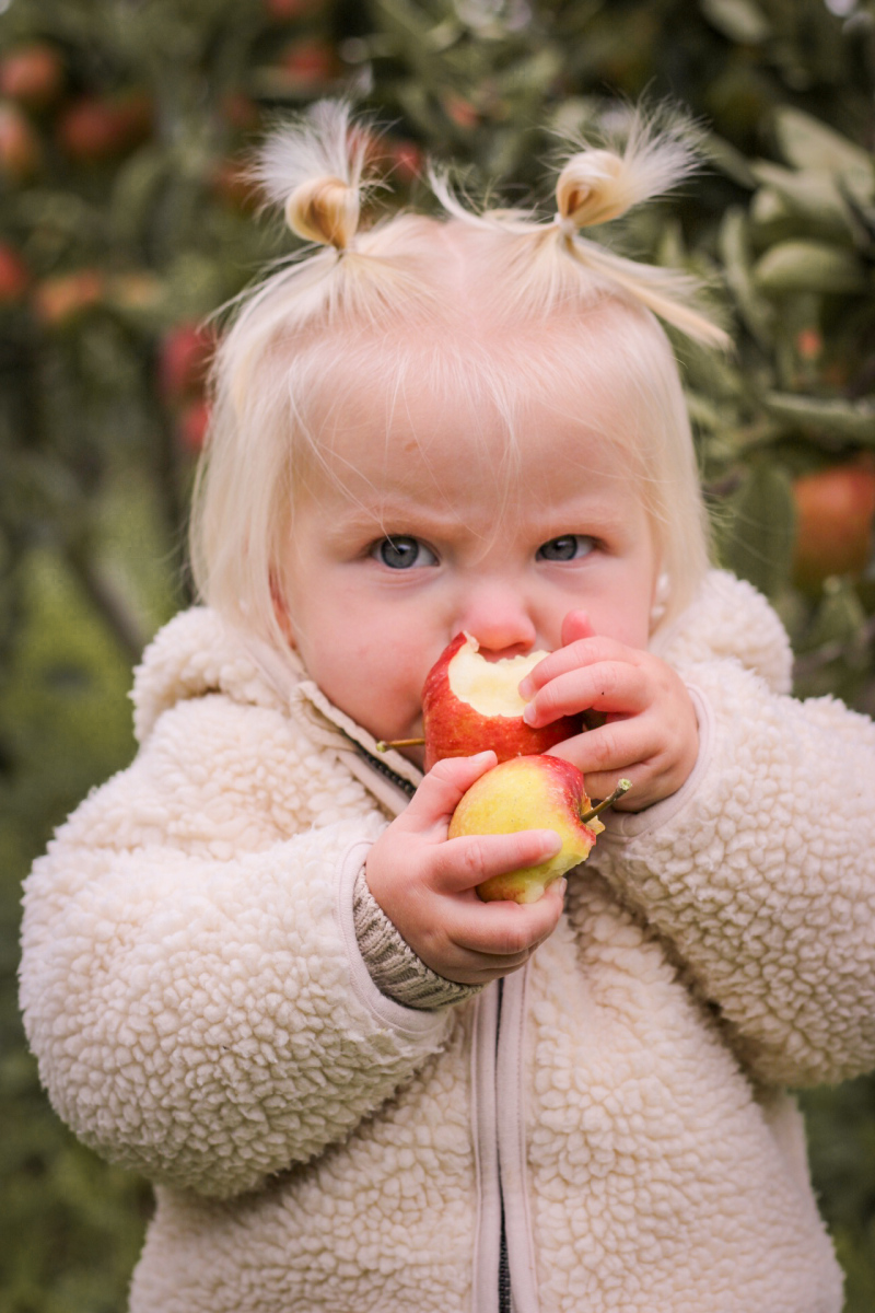 ZAZA Casting model ID: 26690