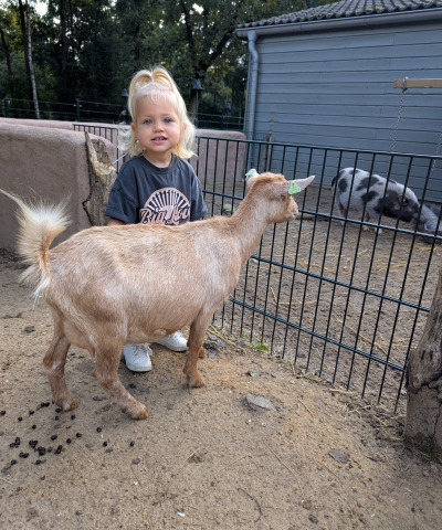 ZAZA Casting model ID: 24932