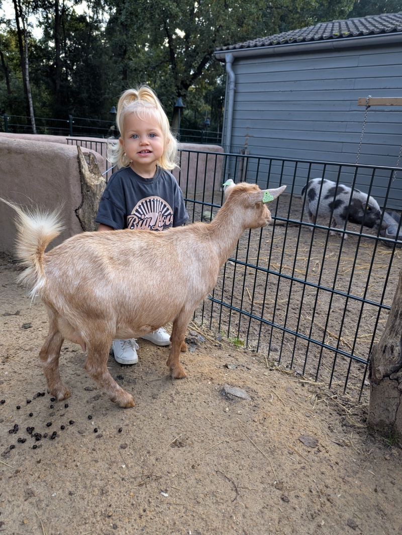 ZAZA Casting model ID: 24932