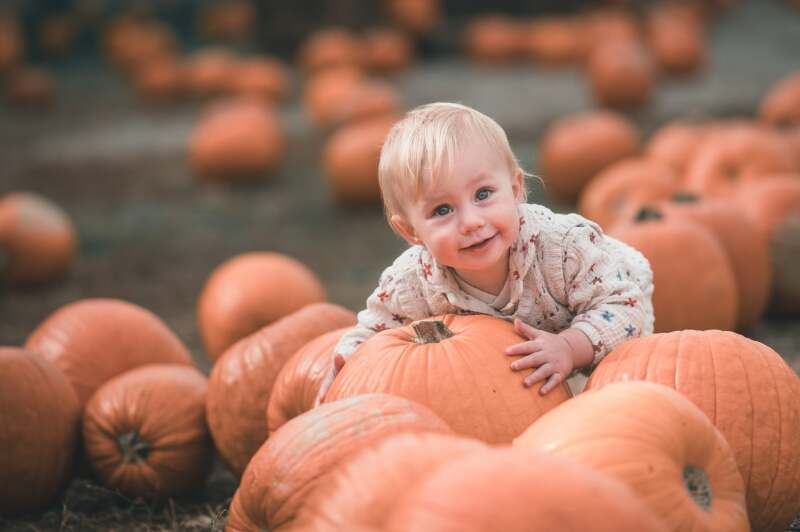 ZAZA Casting model ID: 27249