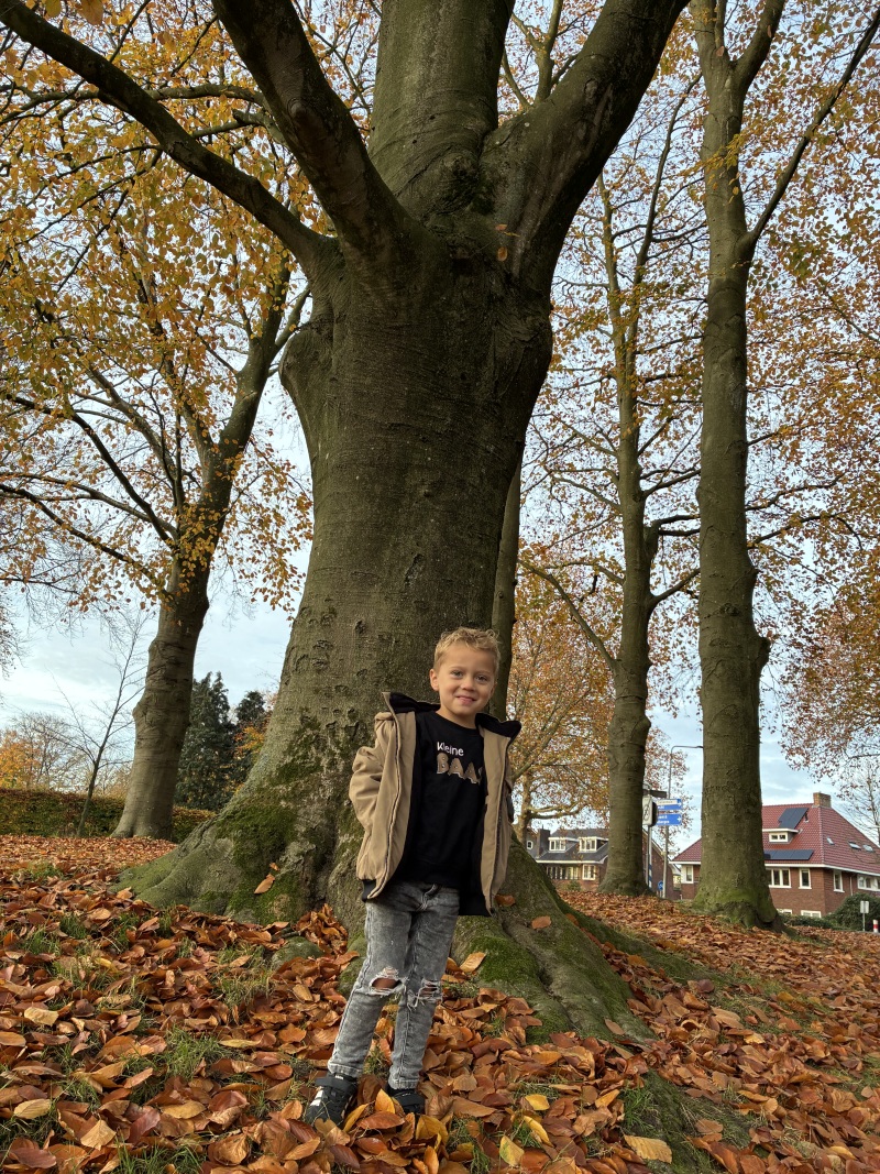 ZAZA Casting model ID: 26677