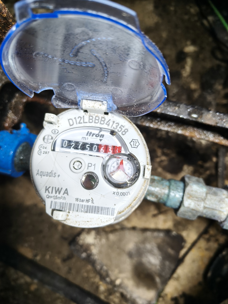 ZAZA Casting model ID: 3070