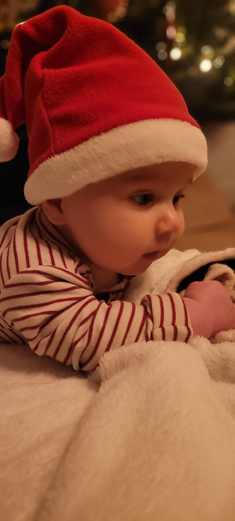 ZAZA Casting familie ID: 1968