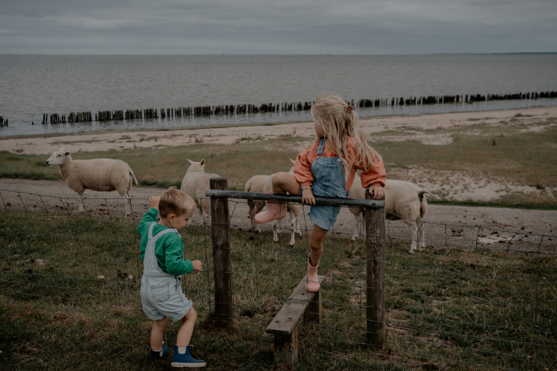 ZAZA Casting model ID: 27497