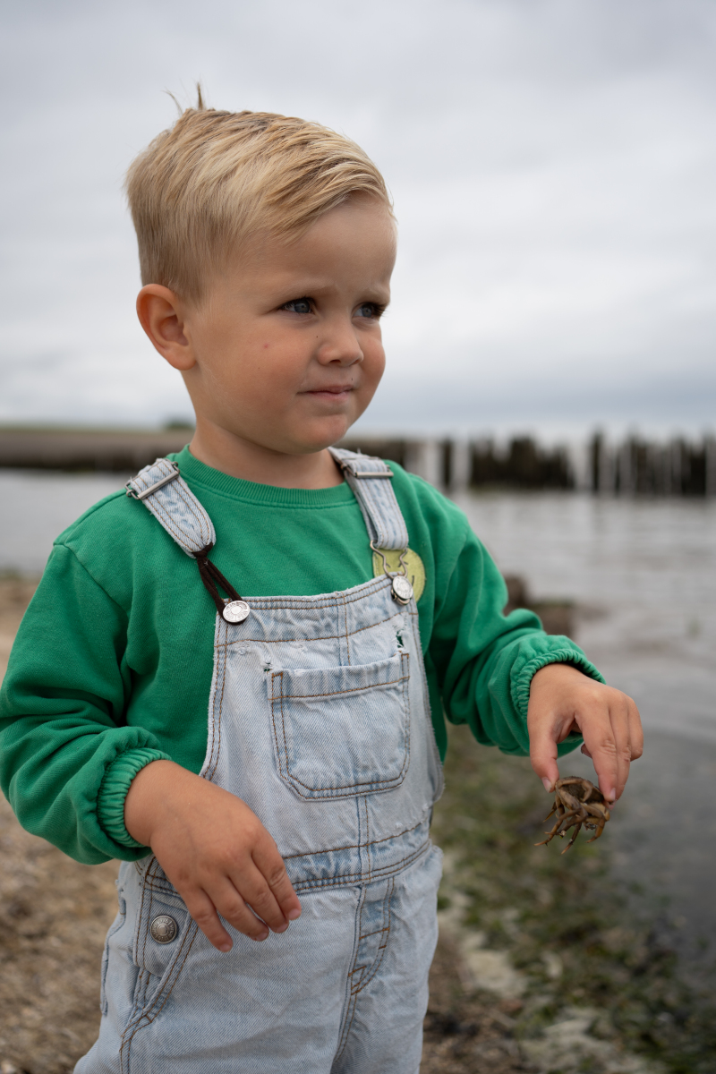 ZAZA Casting model ID: 27497