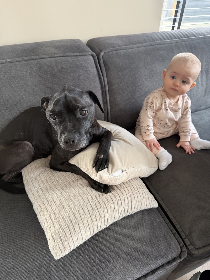 ZAZA Casting model ID: 27507