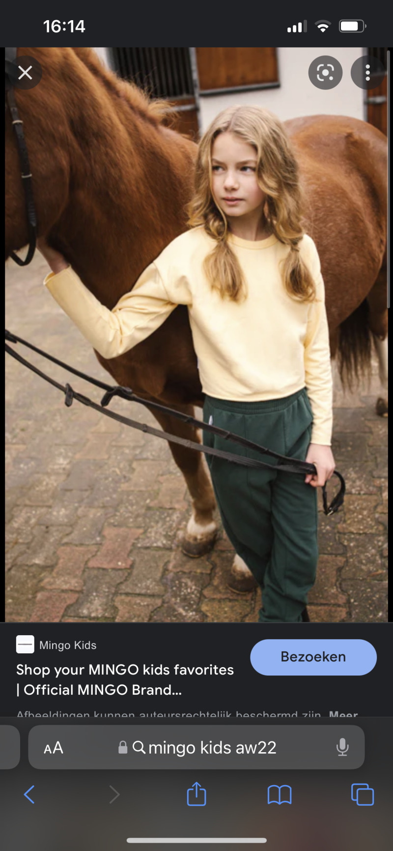 ZAZA Casting model ID: 2739