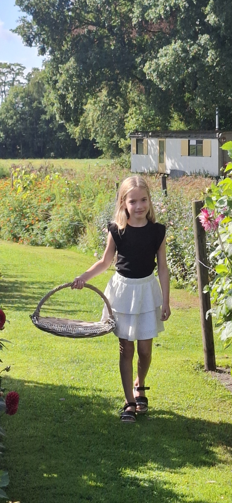 ZAZA Casting model ID: 8080