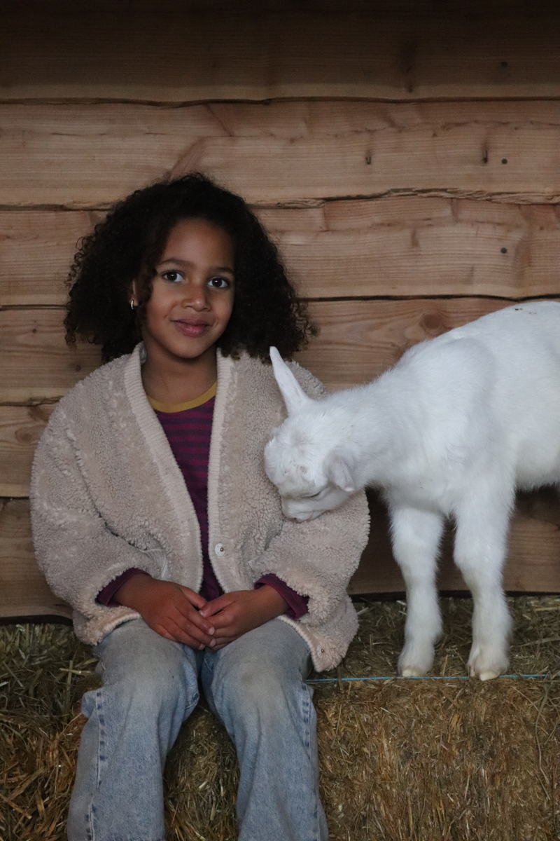 ZAZA Casting model ID: 25227