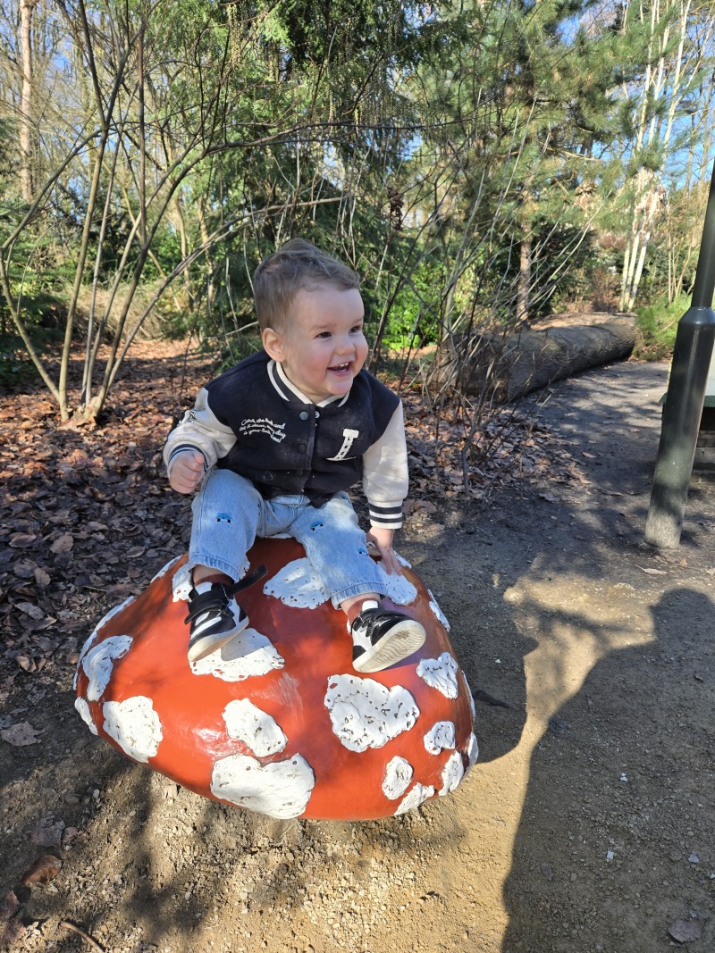 ZAZA Casting model ID: 26491