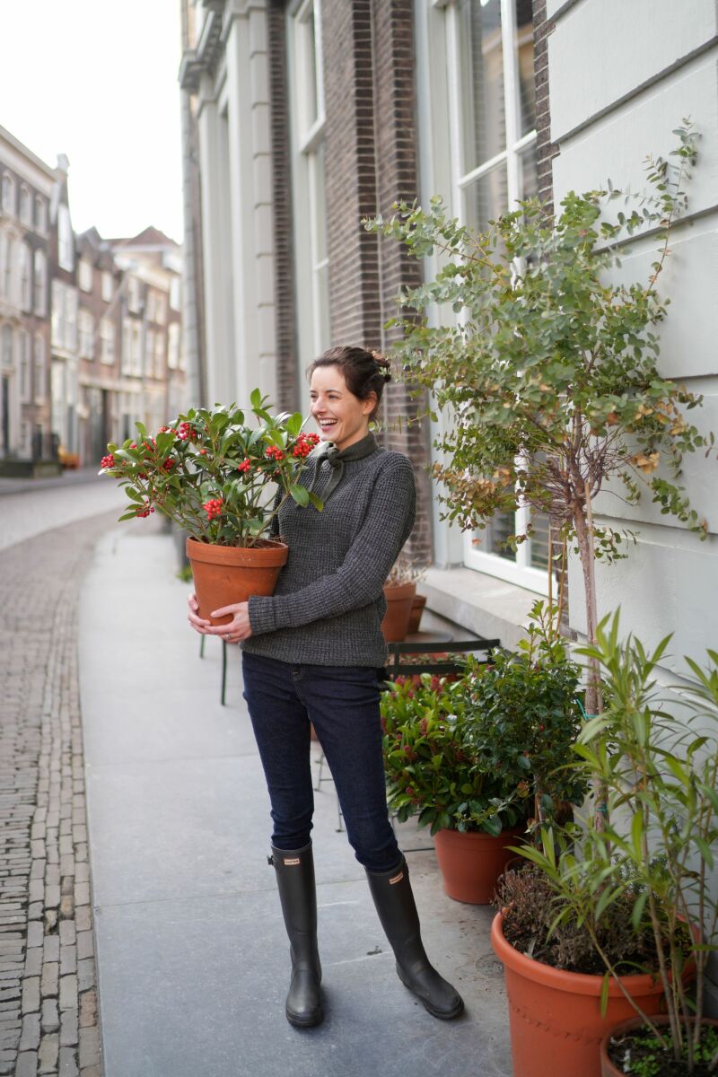 ZAZA Casting model ID: 26183