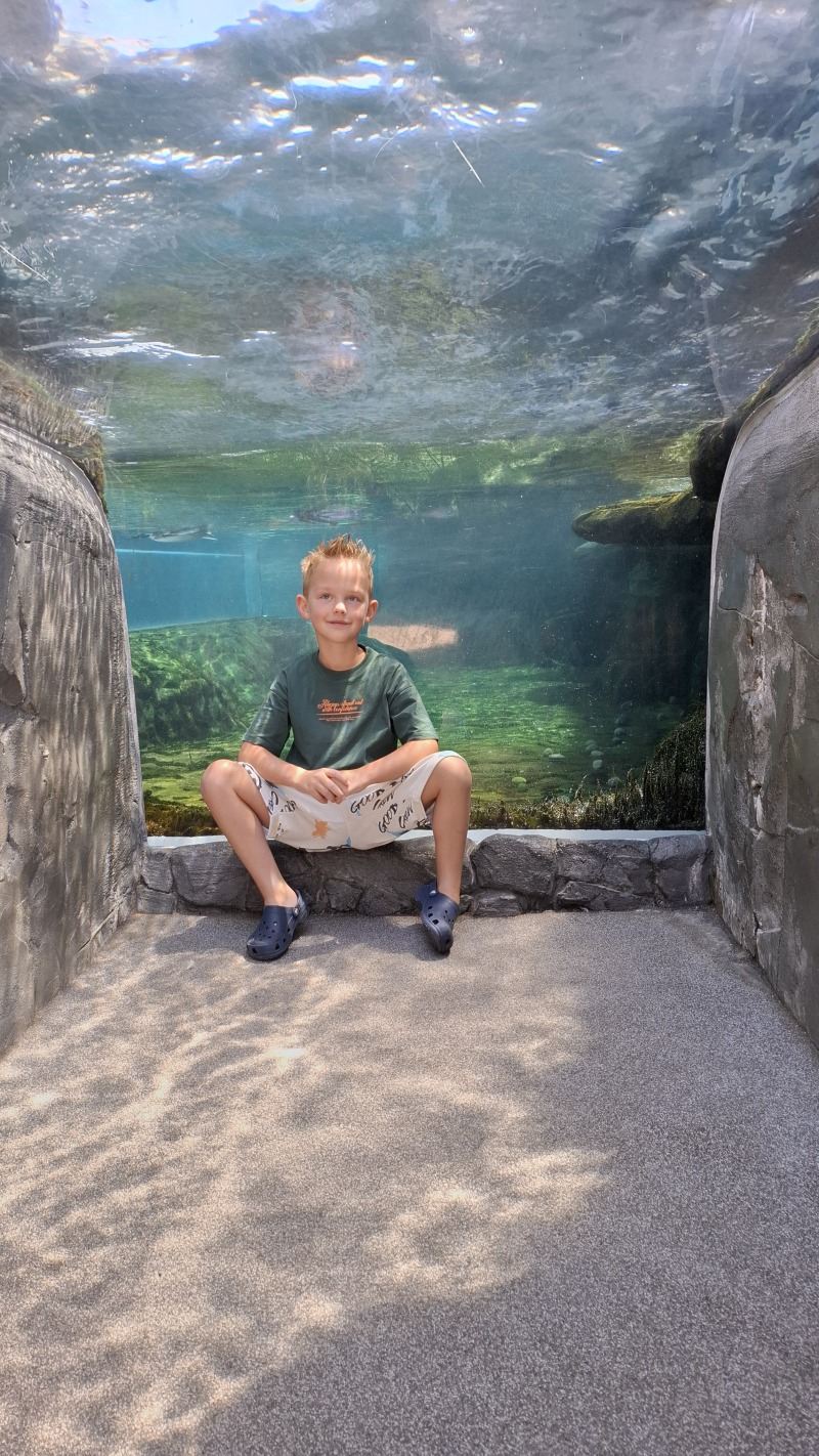 ZAZA Casting model ID: 11712