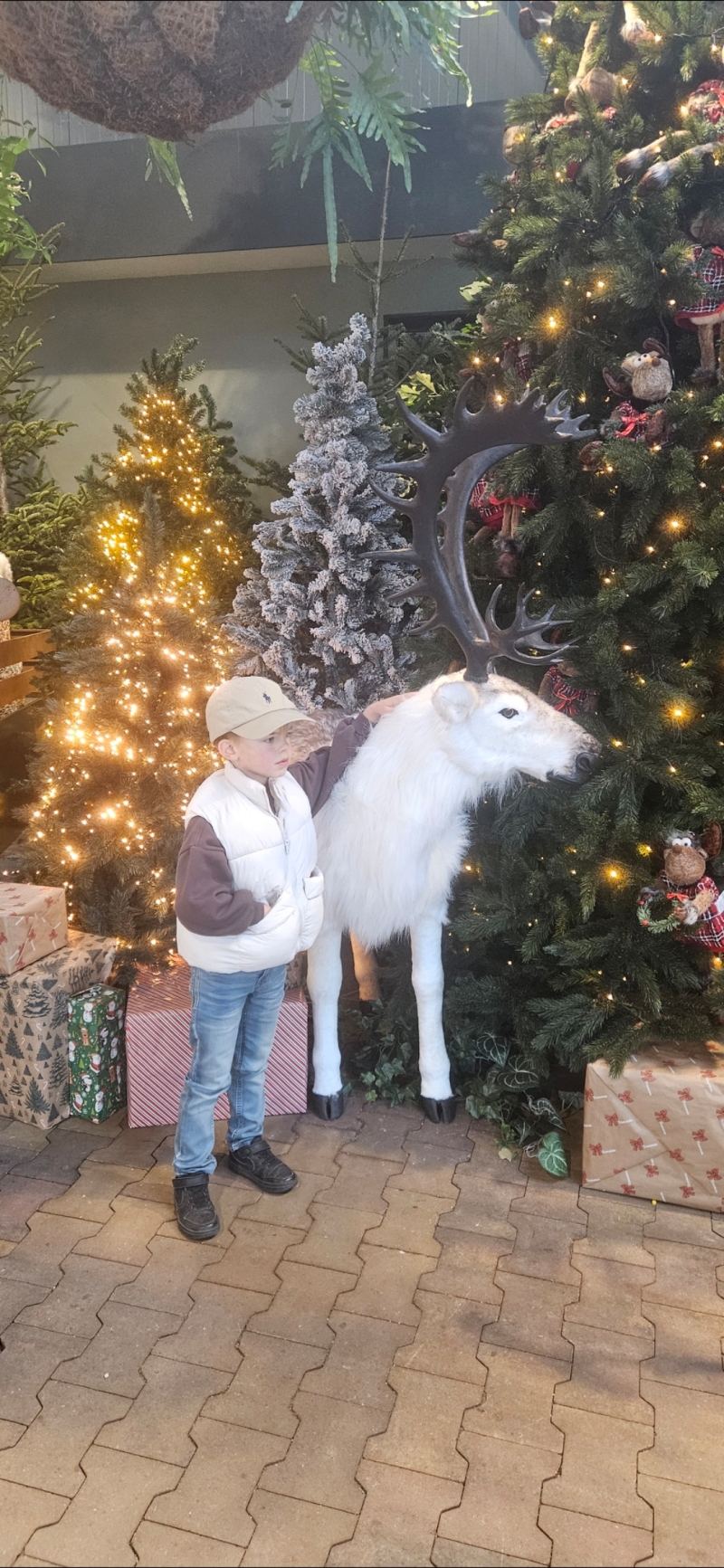 ZAZA Casting model ID: 22884