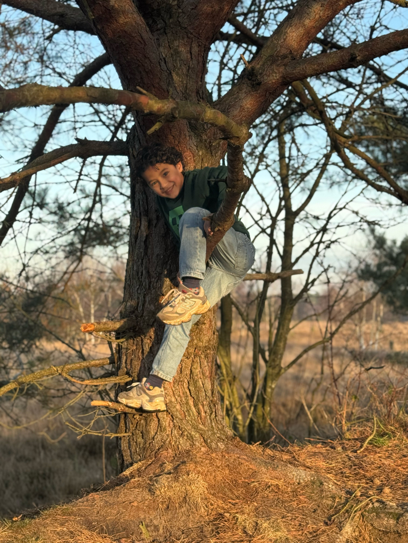 ZAZA Casting model ID: 27751