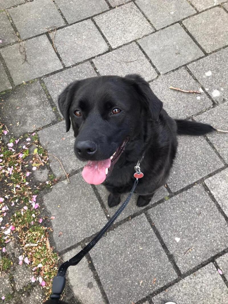 ZAZA Casting familie ID: 482